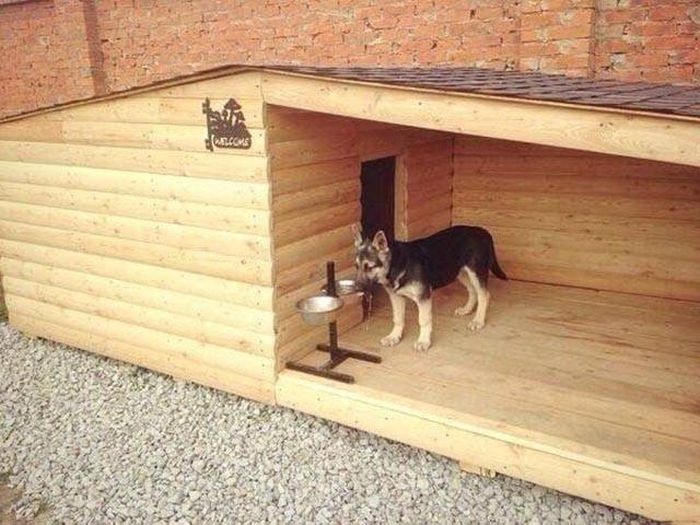 Pictures That Say A Thousand Words And A Whole Lot More (42 pics)
