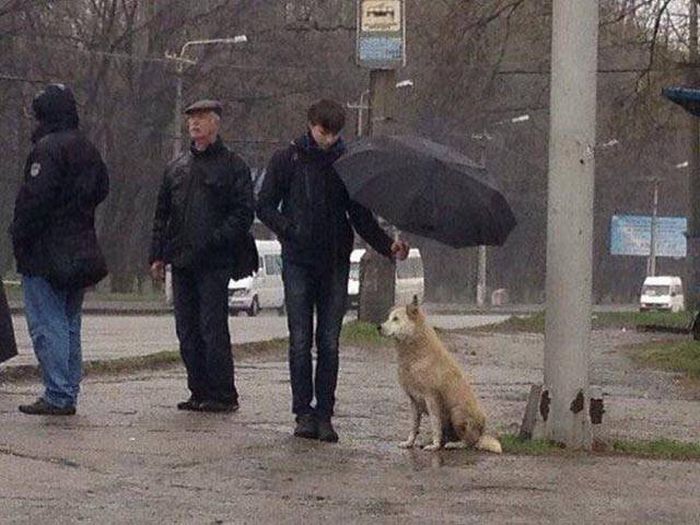 Pictures That Say A Thousand Words And A Whole Lot More (42 pics)