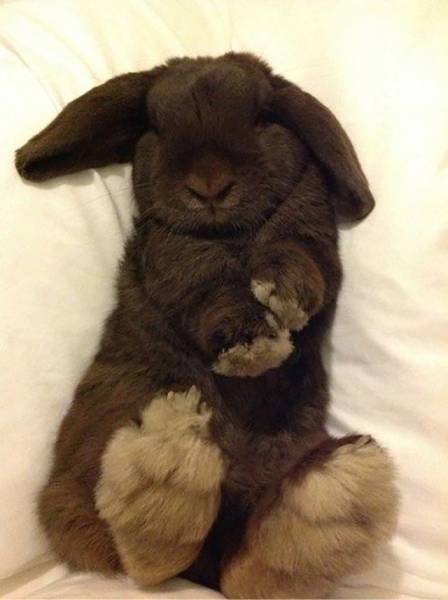Pictures That Say A Thousand Words And A Whole Lot More (42 pics)