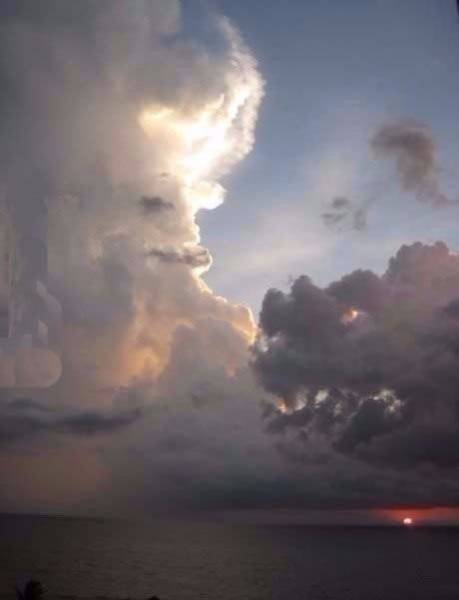Pictures That Say A Thousand Words And A Whole Lot More (42 pics)