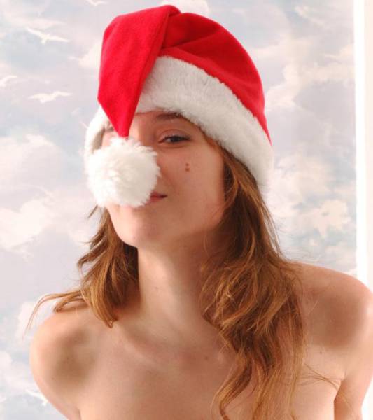 Say Hello To Santa's Hot Little Helpers (62 pics)