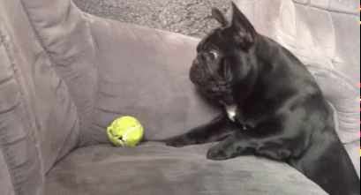 Acid Gifdump, December 28, 2016 (25 gifs)