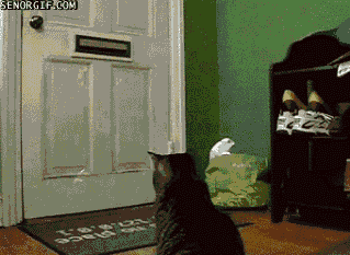 Acid Gifdump, December 28, 2016 (25 gifs)
