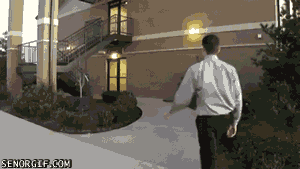 Acid Gifdump, December 28, 2016 (25 gifs)