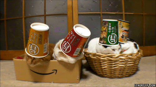 Acid Gifdump, December 28, 2016 (25 gifs)