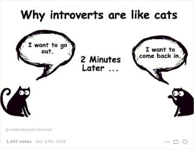 What Life Is Like If You’re An Introvert According To Introverts (38 pics)