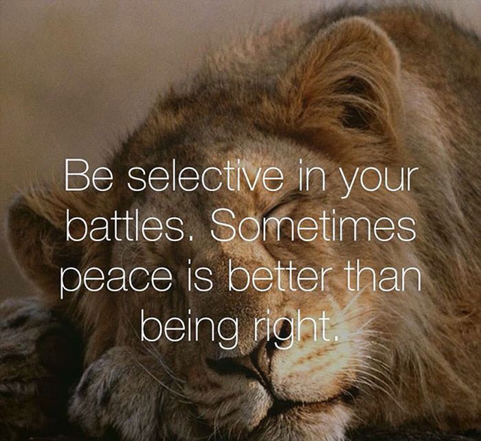 A Collection Of Life Advice To Help You Succeed (18 pics)