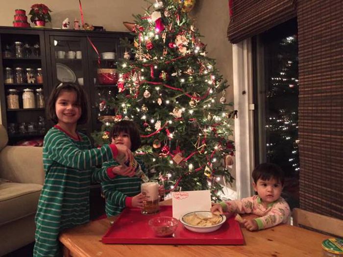 Santa Doesn't Get Milk And Cookies At This House (4 pics)
