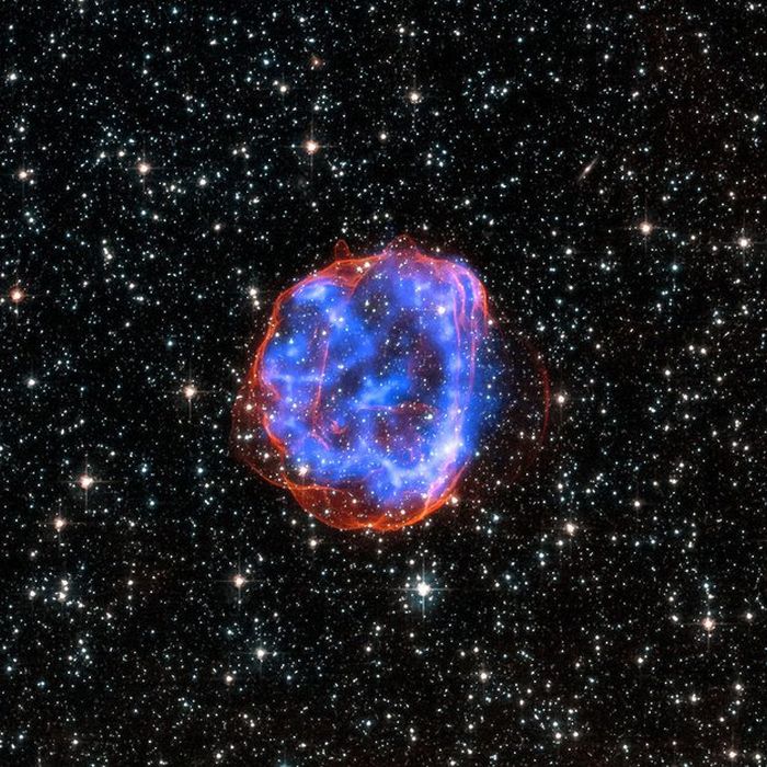 Incredible Scientific Discoveries That Were Confirmed In 2016 (30 pics)