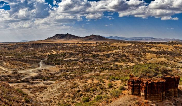 Incredible Scientific Discoveries That Were Confirmed In 2016 (30 pics)