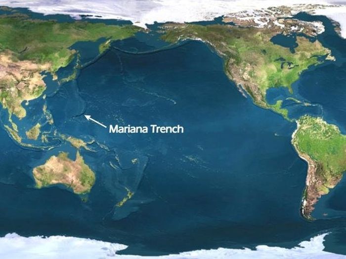 Incredible Scientific Discoveries That Were Confirmed In 2016 (30 pics)