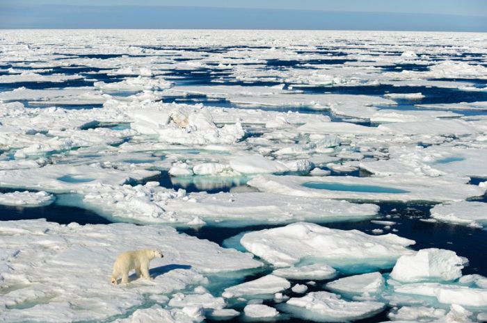 Incredible Scientific Discoveries That Were Confirmed In 2016 (30 pics)