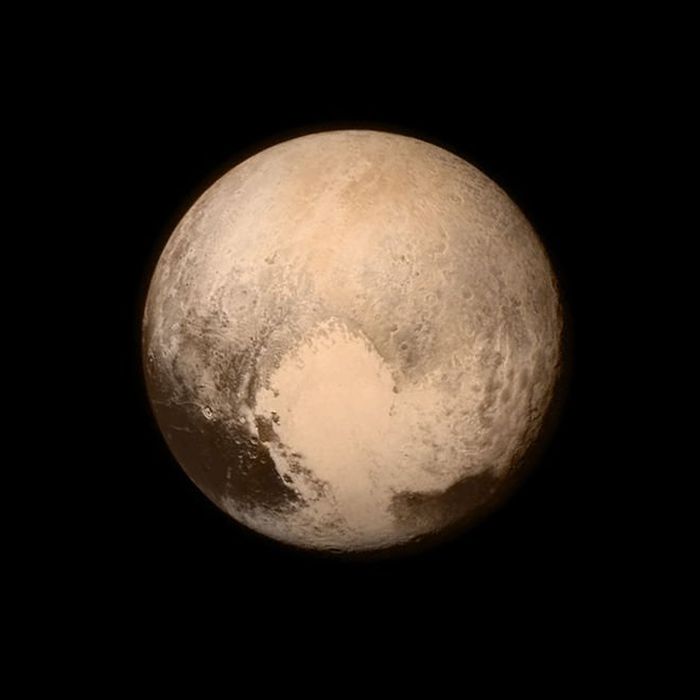 Incredible Scientific Discoveries That Were Confirmed In 2016 (30 pics)
