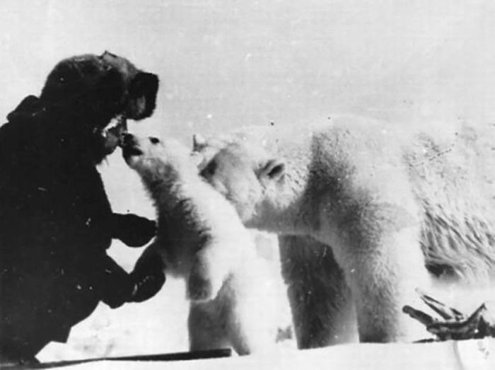 Polar Explorers Get Up Close And Personal With Polar Bears (4 pics)