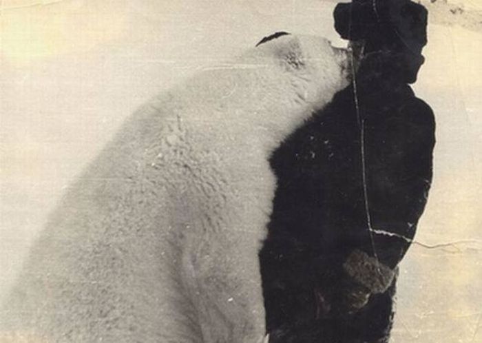 Polar Explorers Get Up Close And Personal With Polar Bears (4 pics)