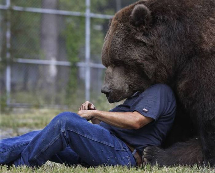 Acid Picdump (98 pics)