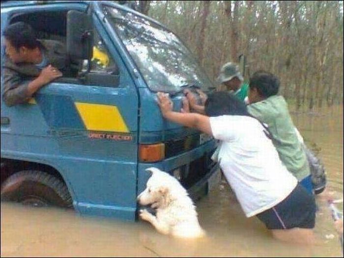 Acid Picdump (98 pics)