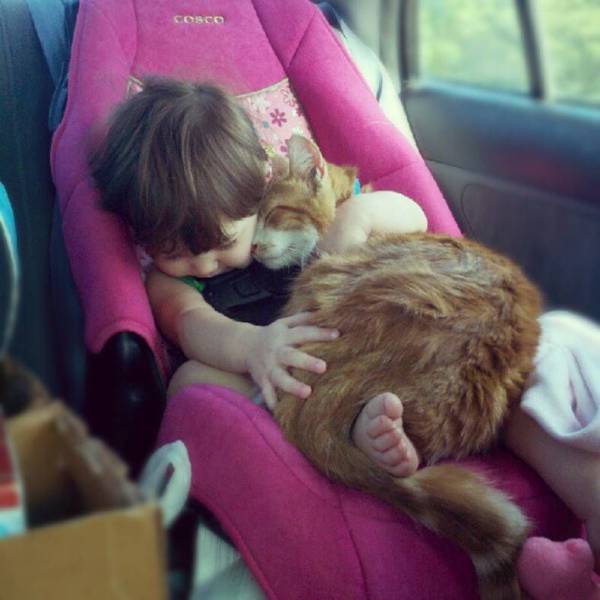Acid Picdump (98 pics)