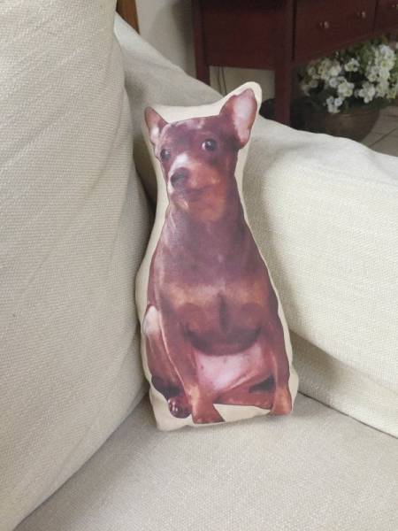 Acid Picdump (98 pics)