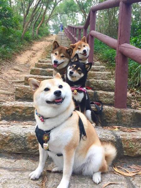 Acid Picdump (98 pics)
