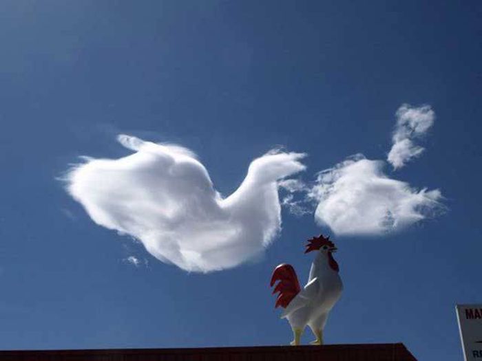 Don't Trust Your Eyes Because These Photos Are Not As They Appear (54 pics)