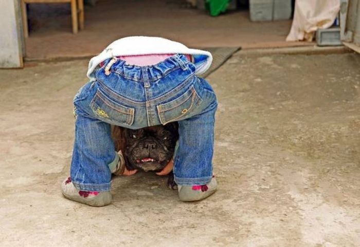 Don't Trust Your Eyes Because These Photos Are Not As They Appear (54 pics)
