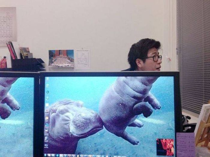 Don't Trust Your Eyes Because These Photos Are Not As They Appear (54 pics)