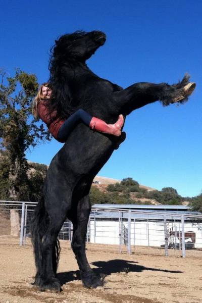 Sportswomen Can Be Beautiful, But They Can Also Be Terrifying (41 pics)