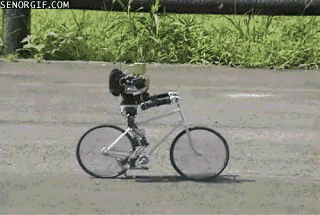 Acid Gifdump, January 03, 2017 (25 gifs)