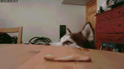 Acid Gifdump, January 03, 2017 (25 gifs)