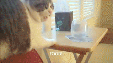 Acid Gifdump, January 03, 2017 (25 gifs)
