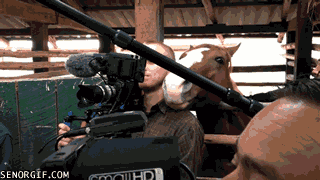 Acid Gifdump, January 03, 2017 (25 gifs)