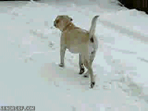 Acid Gifdump, January 03, 2017 (25 gifs)