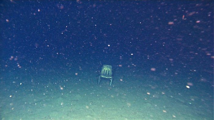 Creepy Sea Photos That Will Give You Thalassophobia (18 pics)