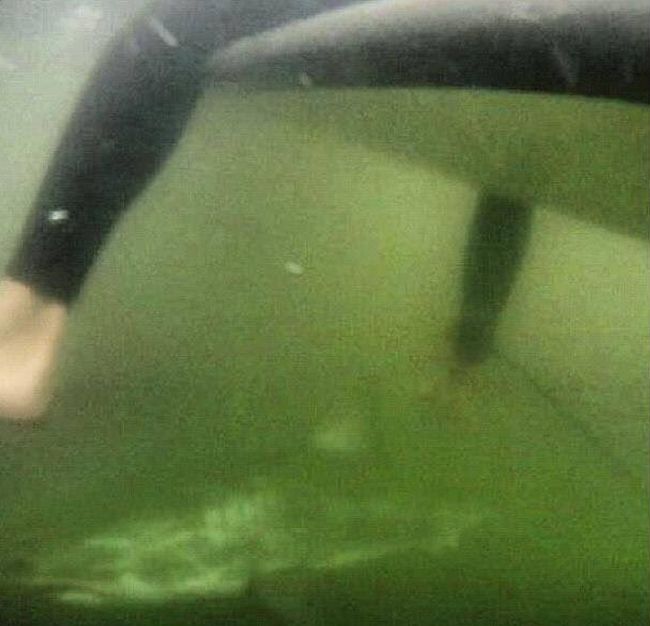 Creepy Sea Photos That Will Give You Thalassophobia (18 pics)