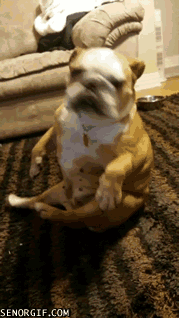Acid Gifdump, January 05, 2017 (25 gifs)