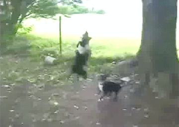 Acid Gifdump, January 05, 2017 (25 gifs)