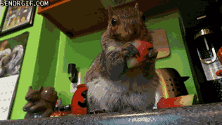 Acid Gifdump, January 05, 2017 (25 gifs)
