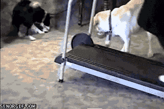 Acid Gifdump, January 05, 2017 (25 gifs)