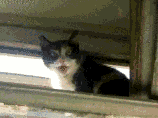 Acid Gifdump, January 05, 2017 (25 gifs)