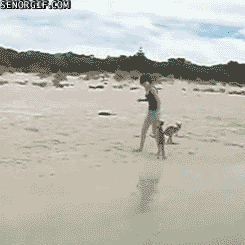 Acid Gifdump, January 05, 2017 (25 gifs)