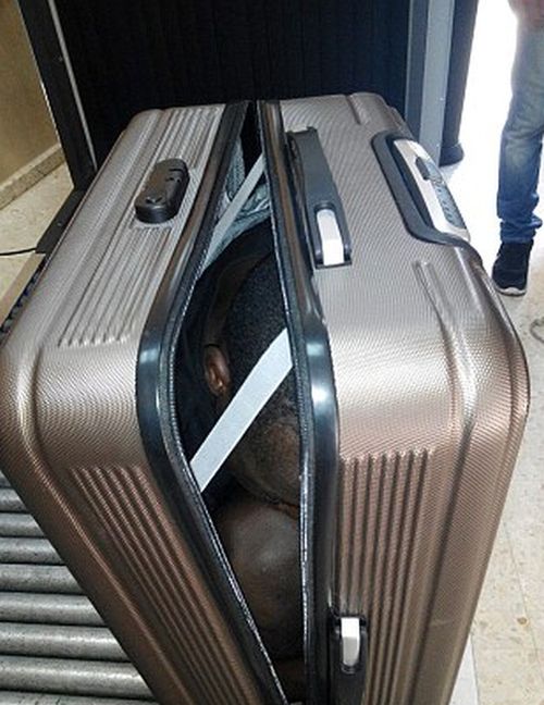 19 Year Old Migrant Smuggled Across The Border In A Suitcase (2 pics)
