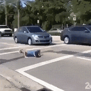 Daring People Who Showed No Fear While Cheating Death (15 gifs)