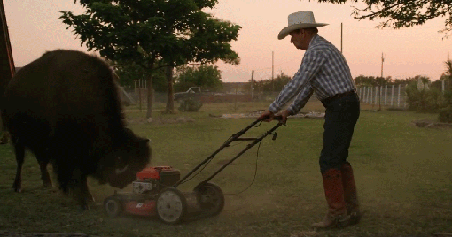 Daring People Who Showed No Fear While Cheating Death (15 gifs)