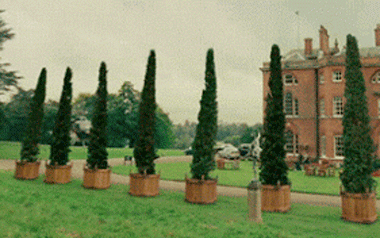 Daring People Who Showed No Fear While Cheating Death (15 gifs)
