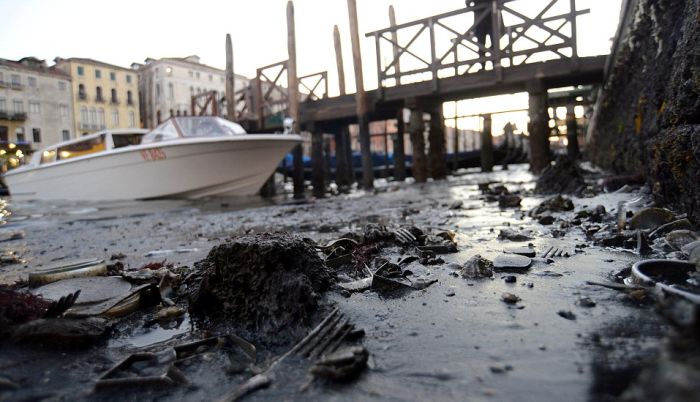 Low Tide Exposes Venice's Canal Network (11 pics)