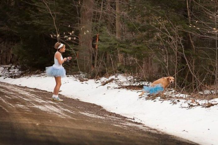 Acid Picdump (50 pics)