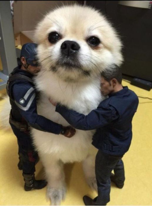 Acid Picdump (50 pics)