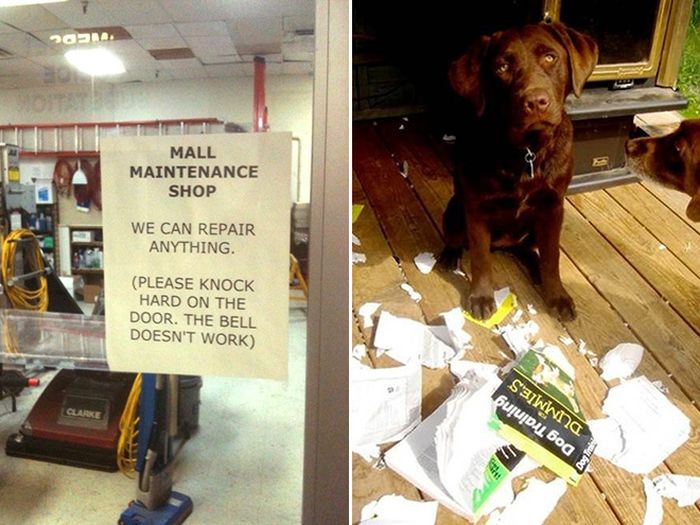 Hilarious Examples Of In Your Face Irony (20 pics)