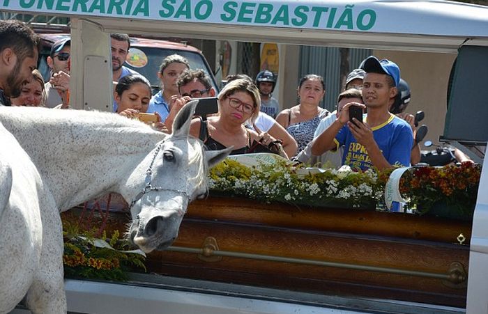 Heartbreaking Photos Show Sereno The Horse Crying At His Owner's Funeral (5 pics)